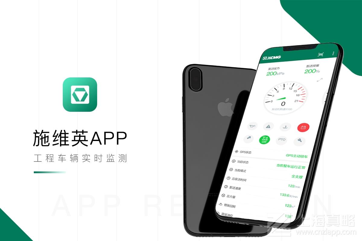施维英